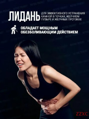 Капсулы желчегонные «Лидань» - Фото 4