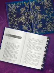 Непокорная ведьма - Фото 3