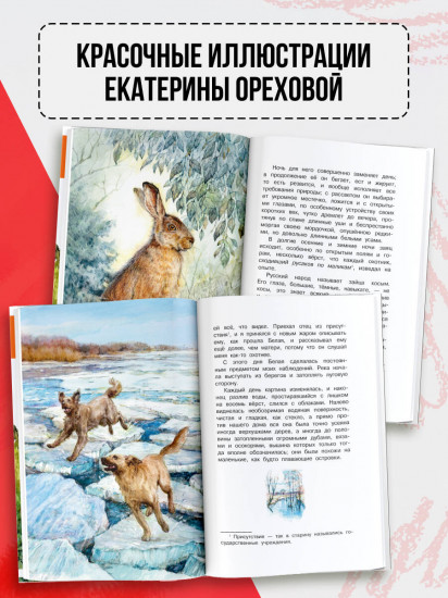 Рассказы о природе