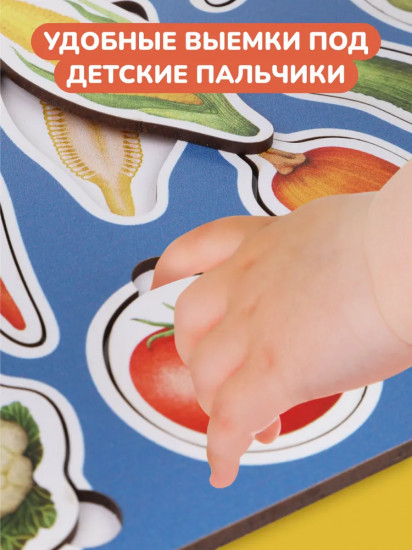 Рамка-вкладыш «Овощи в разрезе»