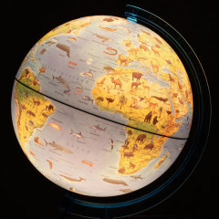 Глобус интерактивный зоогеографический с подсветкой и VR-очками - Фото 2