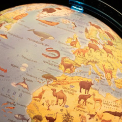 Глобус интерактивный зоогеографический с подсветкой и VR-очками - Фото 6