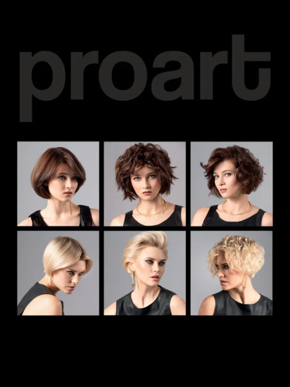 Лак для волос сильной фиксации 4.1 «Proart»