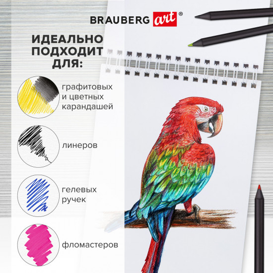 Скетчбук