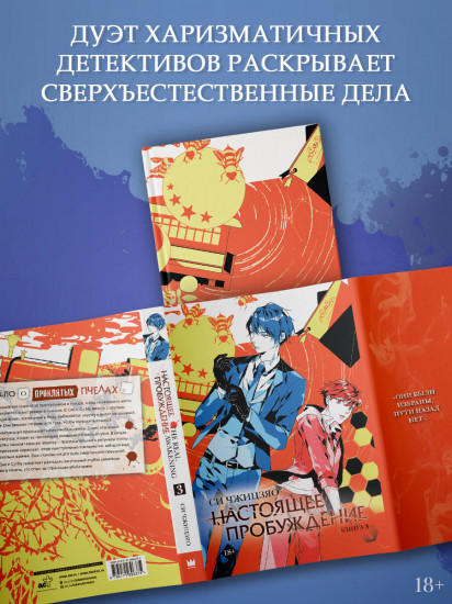 Настоящее пробуждение. Real Awakening. Книга 3