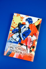 Настоящее пробуждение. Real Awakening. Книга 3 - Фото 6