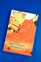 Настоящее пробуждение. Real Awakening. Книга 3 - Фото 9