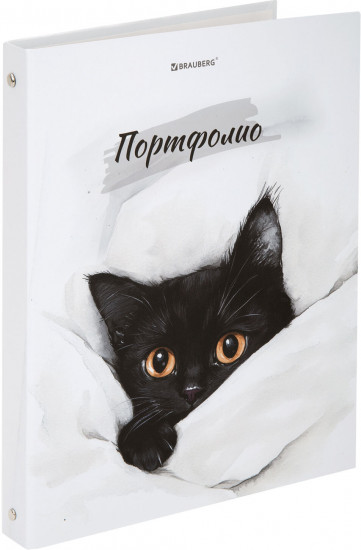 Папка-портфолио «Cat»