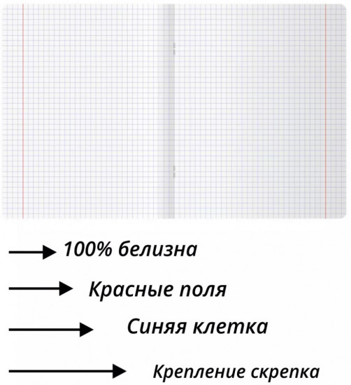 Тетрадь предметная «Физика»