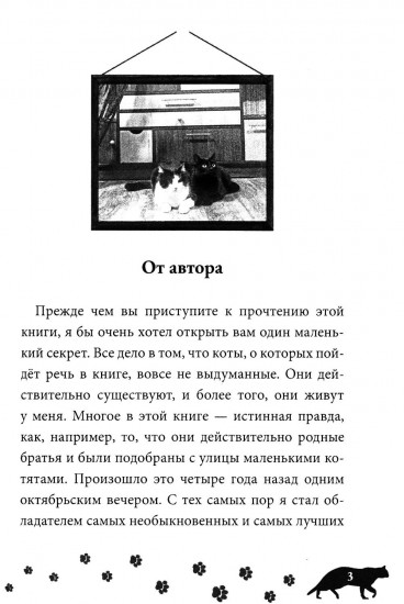 Жизнь заМЯУчательных котов