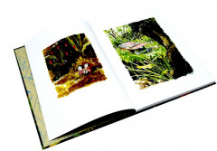 Прекрасная тьма - Фото 1