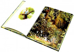 Прекрасная тьма - Фото 2