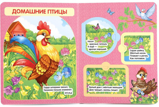 Книжка с окошками «В. Степанов. Загадки о животных»