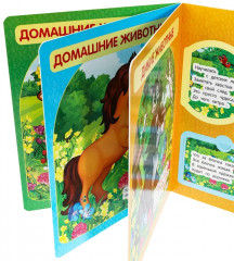 Книжка с окошками «В. Степанов. Загадки о животных» - Фото 5