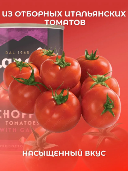 Томаты резаные кубиками в томатном соке с чесноком «Chopped Tomatoes with Garlic in a Rich Tomato Juice»