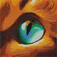 Картина по номерам «Кот и бабочка» - Фото 8