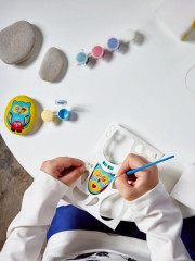 Набор для росписи по камням «Забавные совы» - Фото 6