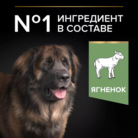 Сухой корм для собак крупных пород с мощным телосложением и чувствительным пищеварением с ягненком