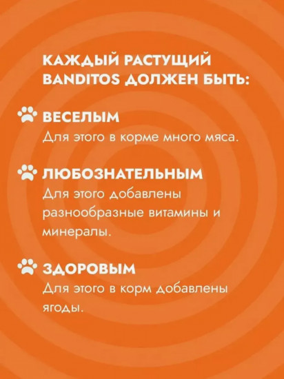 Корм для котят влажный «Говядина и индейка»