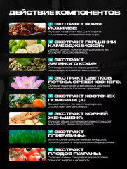 Капсулы для похудения «Fit 90» - Фото 4