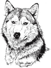 Набор для выжигания - Фото 5