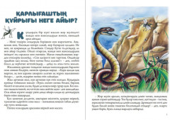 Қарлығаштың құйрығы неге айыр - Фото 1