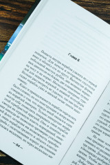 Авантюрист. Железный Ронин - Фото 7