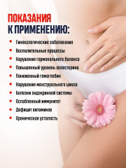 Фито-чай с красной щеткой «Здоровая женщина» - Фото 3