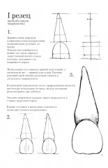 Атлас изображений анатомических особенностей зуба человека - Фото 6