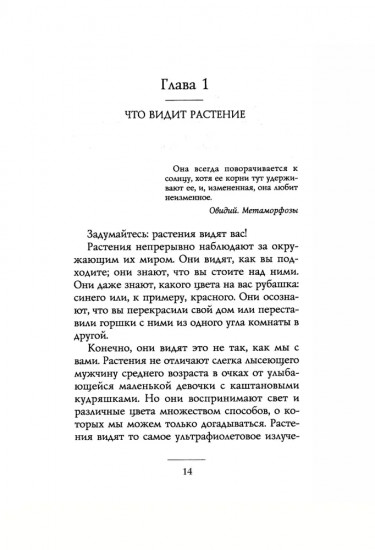 Тайные знания растений. Что видят, слышат и помнят цветы и деревья