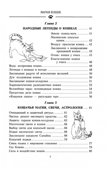 Магия кошек. Как впустить в свой дом удачу