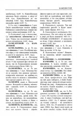 Архангельский областной словарь. Выпуск 25. Кама — кипящей - Фото 7