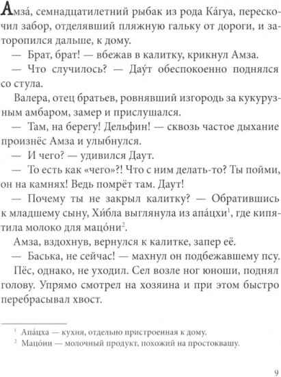 Брат мой Бзоу