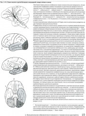 Детская поведенческая неврология. Комплект из 2 книг - Фото 9