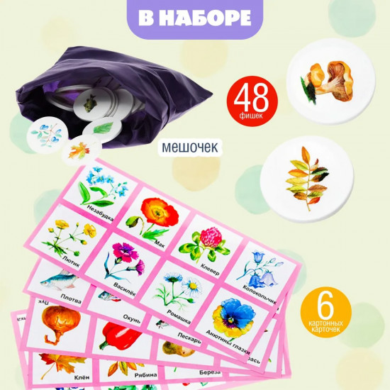 Лото «Родная природа»