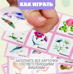 Лото «Родная природа» - Фото 3