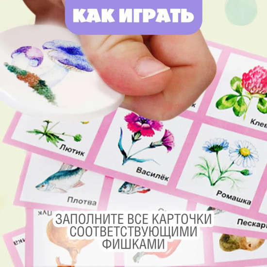 Лото «Родная природа»