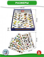 Настольная интерактивная игра (электровикторина) «Живая природа» - Фото 6