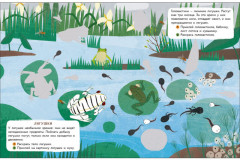 У водоёма. Мир животных. Наклейки - Фото 2