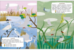 У водоёма. Мир животных. Наклейки - Фото 3