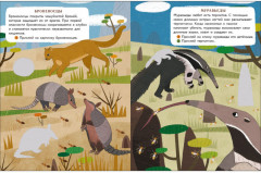 Джунгли. Мир животных. Наклейки - Фото 2