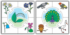 Игра настольная «Живая природа» - Фото 10