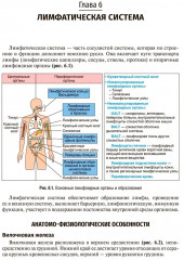 Пропедевтика детских болезней - Фото 3