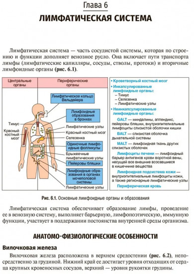 Пропедевтика детских болезней