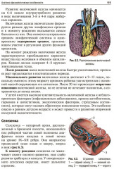 Пропедевтика детских болезней - Фото 4