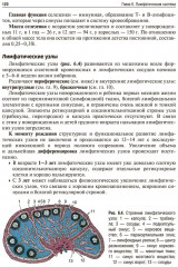 Пропедевтика детских болезней - Фото 5