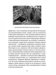 Пернатые многоженцы: Любовь, браки, измены и разводы в мире птиц - Фото 8