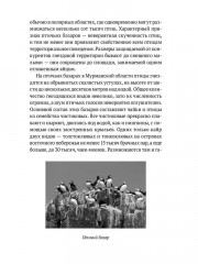 Пернатые многоженцы: Любовь, браки, измены и разводы в мире птиц - Фото 10