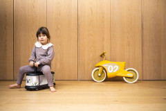 Каталка «Коала» - Фото 4