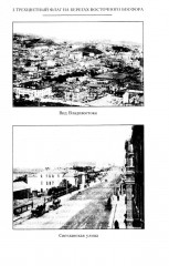 На страже Родины. События во Владивостоке: конец 1919 — начало 1920 г. - Фото 10